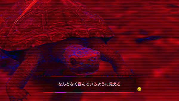 kenzan_01_turtle