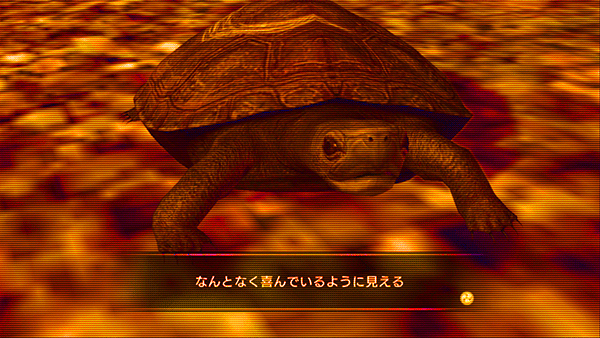 kenzan_07_turtle
